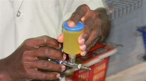 Incubation and Hatching