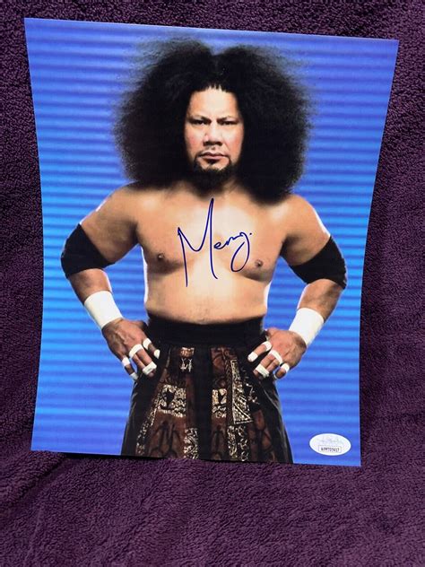 Meng WCW 1994 的图像结果