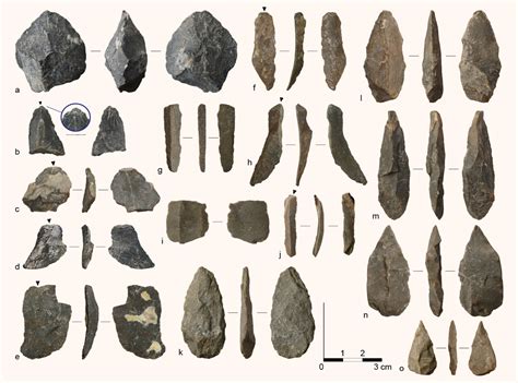 Archaeologists Find 30,000-Year-Old Stone Tools in Mexican Cave ...