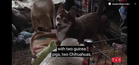 mom lives in his closet. Cannot. Wait. : r/90dayfianceuncensored