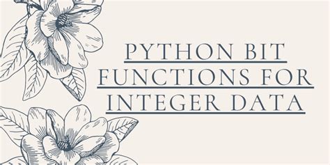 Image result for Python Bit