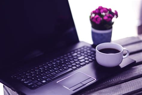 CBL Data Recovery 的图像结果