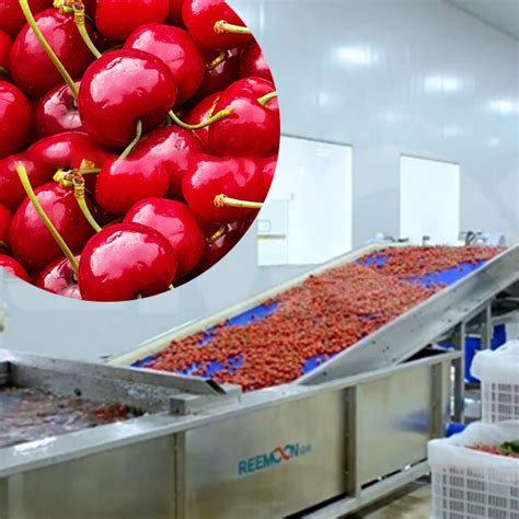Reemoon India- Fruit Sorting and Grading Machine, sorter, Grader ...