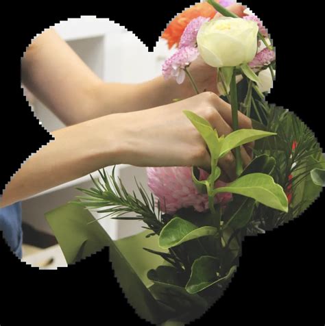 Image result for Flowerrawing