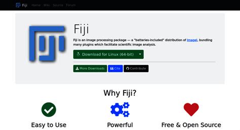 Fiji ImageJ Download 的图像结果