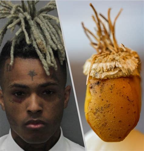 Was listening to XXX while cooking today.. had some leftover potato and onion.. : r/XXXTENTACION