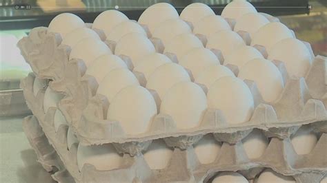 Why are eggs so expensive right now? | wfaa.com