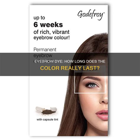 Eyebrow Dye: How Long Does The Color Really Last? | ShunSalon