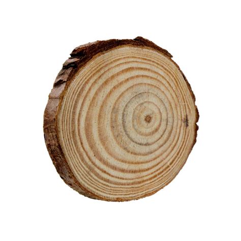 JAGS, Wood Plate - Round | 7 cm. – OXFORD stationers