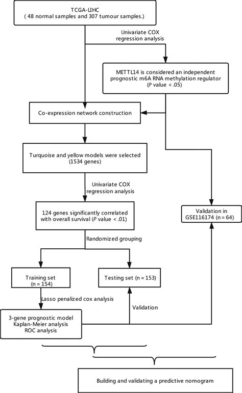 Flowchart TCGA 的图像结果