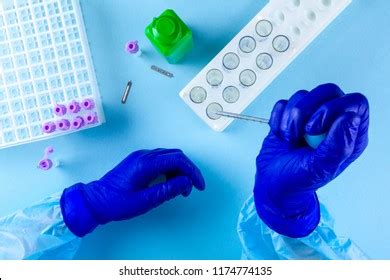 Image result for Sample Mean Normal Distribution Formula