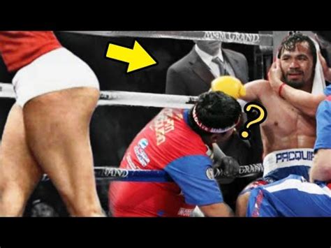 Funny Boxing 的图像结果