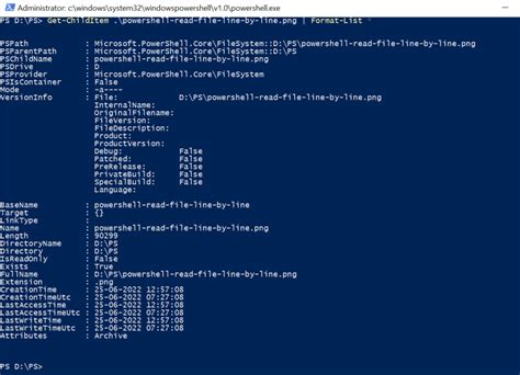 Image result for Get File Metadata