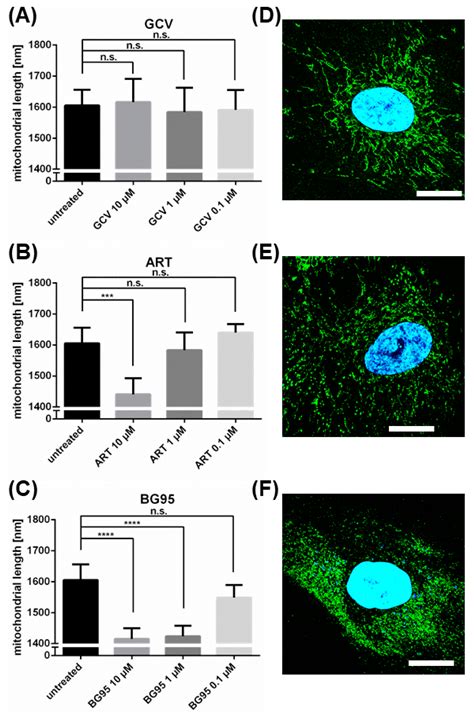 The Artemisinin-Derived Autofluorescent Compound BG95 Exerts Strong ...