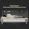 SleepyCat Latex Mattress | 10 Years Warranty | Firm, Orthopedic 6-inch ...