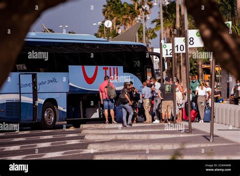 Image result for Tui Local Bus