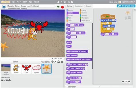Image result for Script Scratch