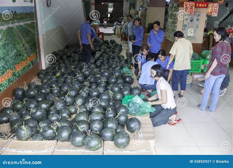 Watermelons Sale in Vietnam Editorial Photography - Image of life ...