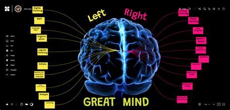 Brain Function Map 的图像结果