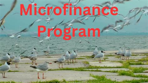 Image result for Microfinance Program