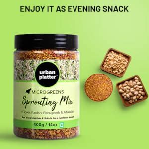 Urban Platter Microgreens Sprouting Mix, 400g / 14oz [Clover, Radish ...
