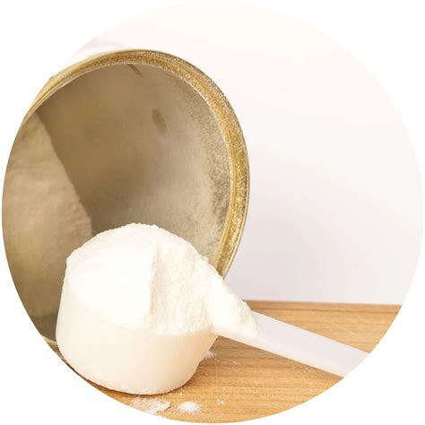 Marine Collagen – Orange – naturaltein