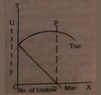 Image result for Total Utility Example