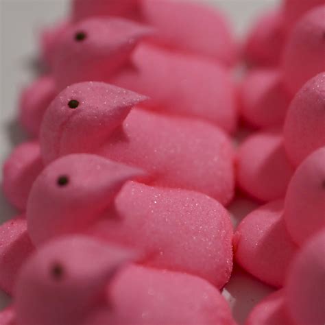 Chris Brown Net Worth (2025) From Music, Stomp the Yard, More