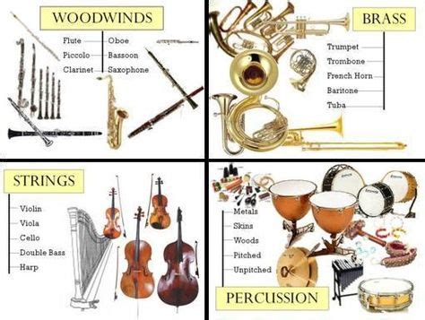 Image result for Different Types of Instruments