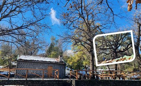 Passeggiata sullETNA 25 Aprile EDITION: i Segreti della Valle del Bove ...