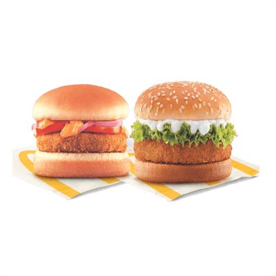 Chicken Burger Or Double Aloo Tikki Burger results in Fatima Nagar ...