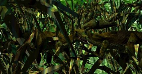 Compy Comp 的图像结果