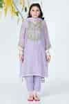 Buy Purple Cotton, Kurta Mulmul Chanderi Mirror And Thread Embroidered ...