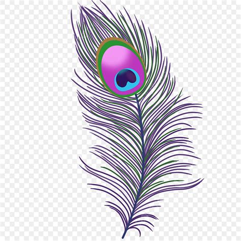 Peacock Feathers PNG Transparent, Calm Peacock Feather Clip Art ...