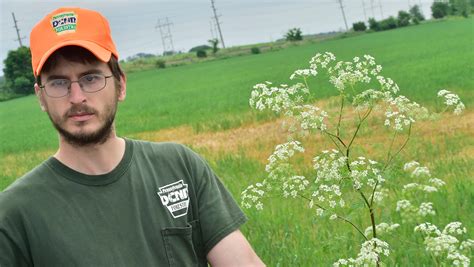 Poison Hemlock Skin Rash