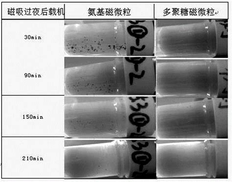 YH-MIP-0103型显微镜不溶性微粒检测仪-上海胤煌科技有限公司