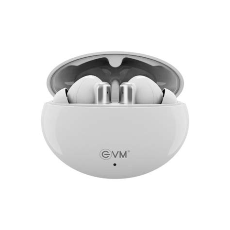 Buy EVM EnBuds ANC TWS Bluetooth True Wireless Earbud (White) at Best ...