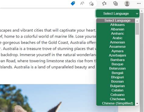 Image result for Change Language Web Design