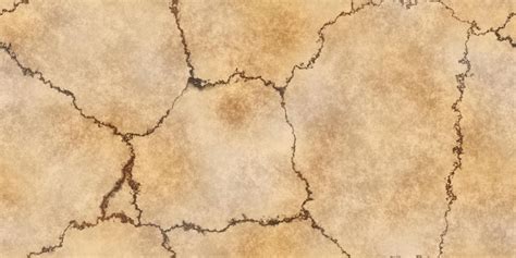 Skull bone backgrounds anatomy abstract texture 3d rendering 3d ...