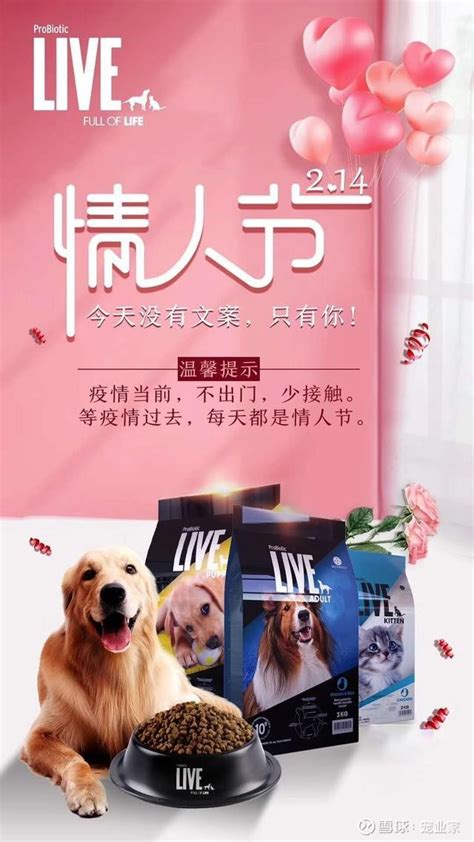 DAY 1| 北京宠物文化节首日盛况 - 中国宠物文化节