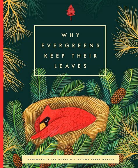 Why Evergreens Keep Their Leaves eBook : Riley Guertin, Annemarie ...