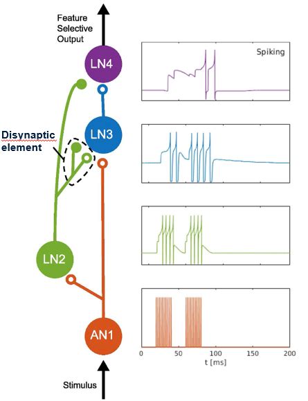 Image result for Neuromorphic Computing Neural Network