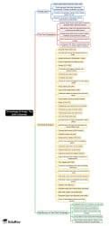Mind Map: The Delhi Sultanate - General Awareness and Knowledge - DSSSB ...