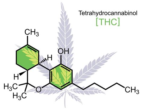 Image result for THC Molecule Vector