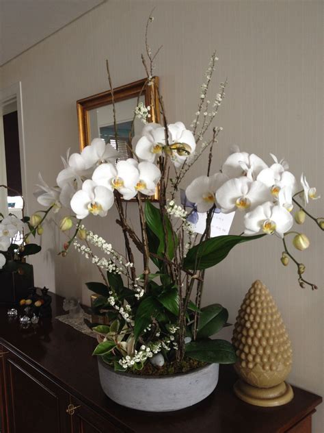 Beautiful Orchid Arrangement | Indoor Orchids