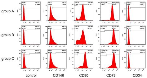 Effect of Biodentine on Odonto/Osteogenic Differentiation of Human ...