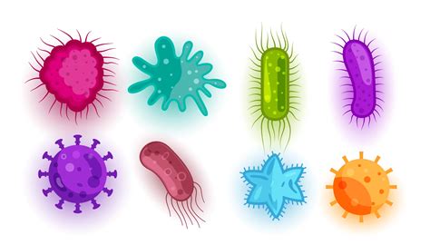 Kingdom Monera — Biology Notes - phylum of kingdom monera