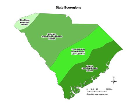 Printable South Carolina State Maps: Counties (All 46 Counties) | CCCarto
