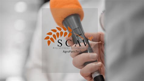 Veto 的图像结果