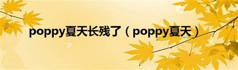 夏天Poppy / Weibo Life Search (GFW Certified?!)